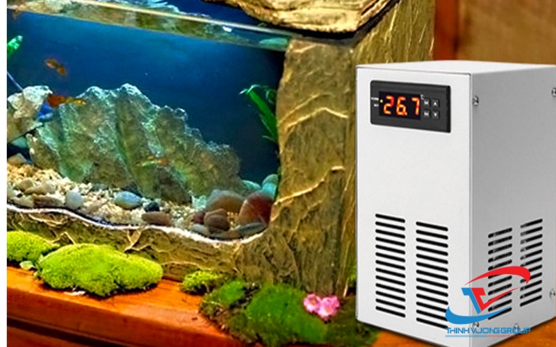 lưu ý khi mua chiller thuỷ sinh mini